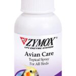 41Azvj2ymGL._AC_SL1000